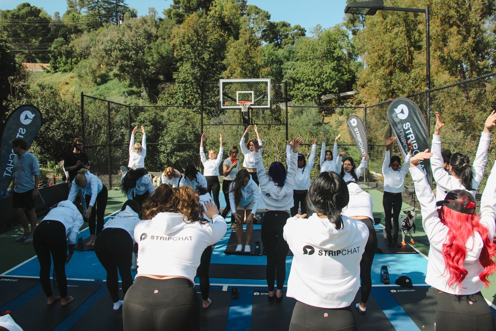 Goat yoga session on the pickleball court at the Stripchat House Hollywood, goats climbing on cast members' backs