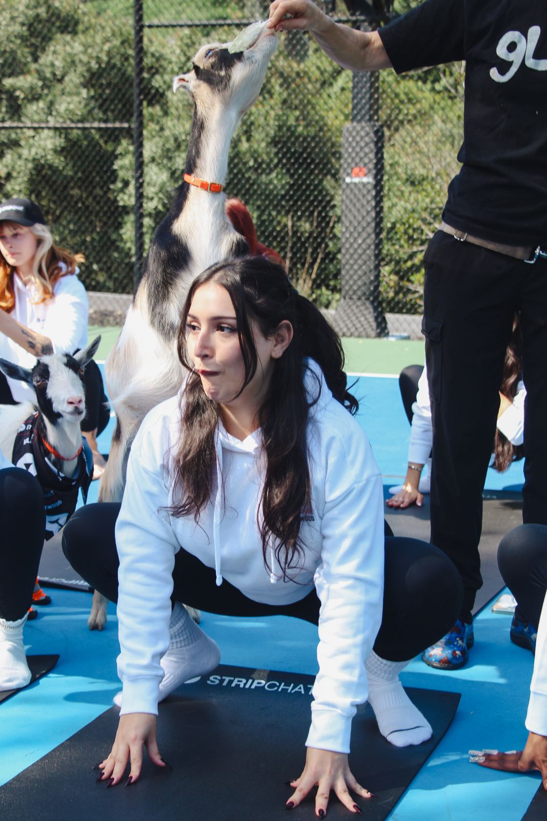 Goat yoga session on the pickleball court at the Stripchat House Hollywood, goats climbing on cast members' backs