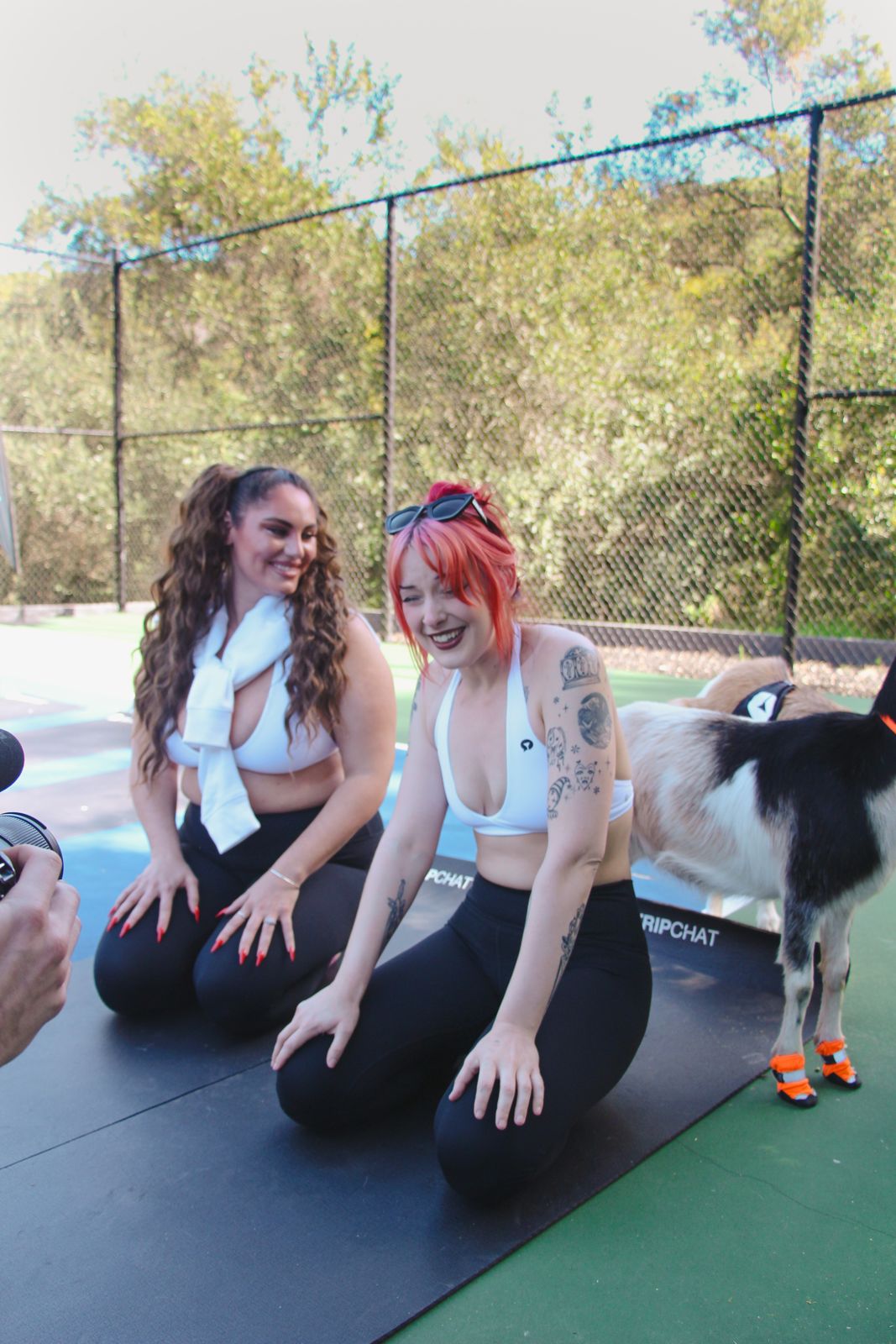 Goat yoga session on the pickleball court at the Stripchat House Hollywood, goats climbing on cast members' backs