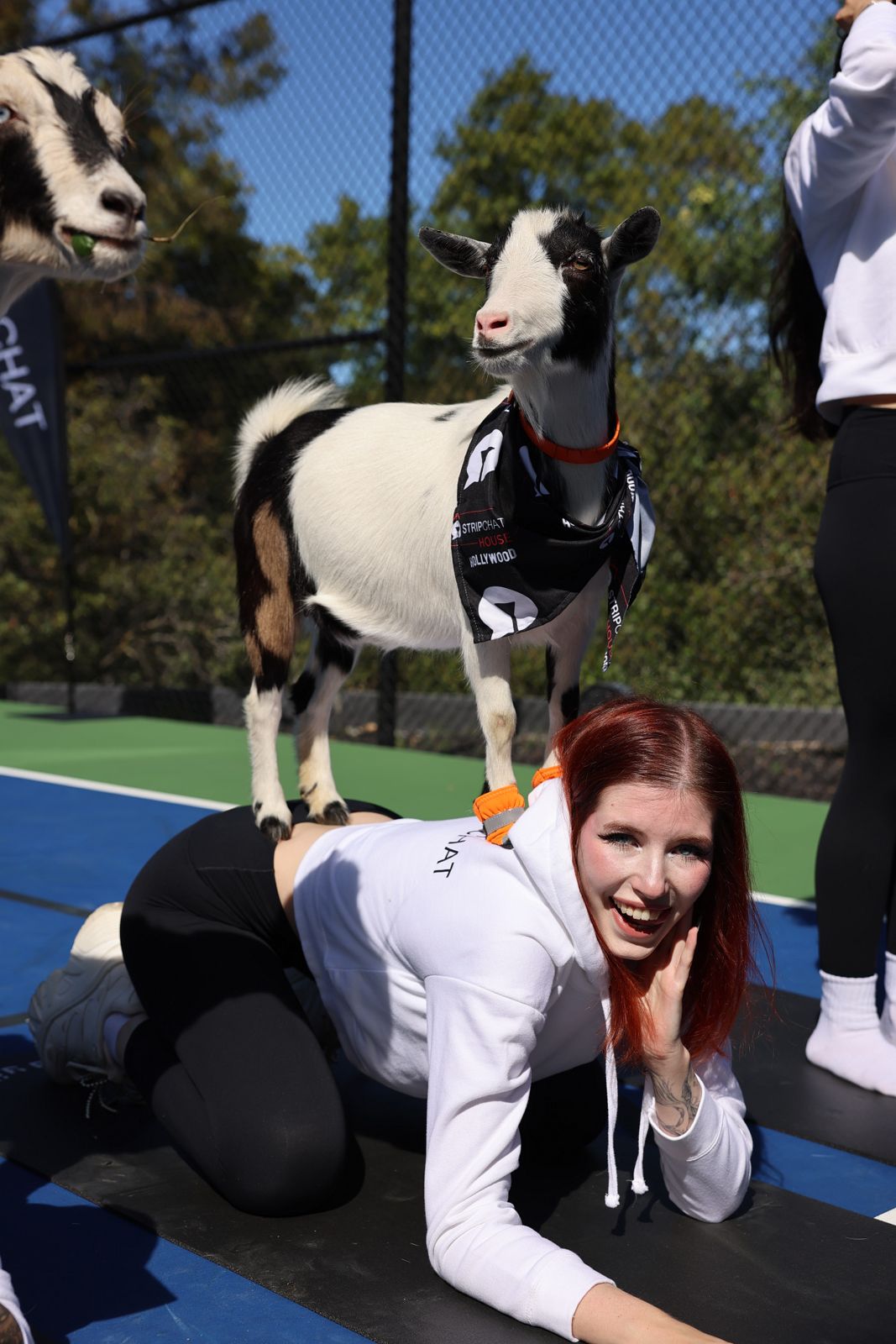 Goat yoga session on the pickleball court at the Stripchat House Hollywood, goats climbing on cast members' backs