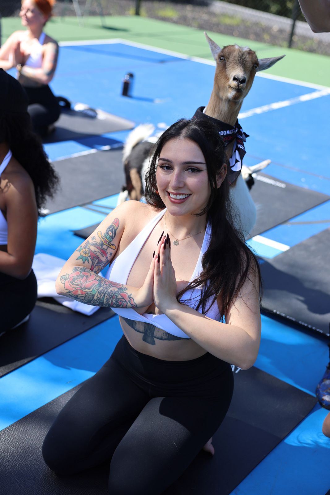 Goat yoga session on the pickleball court at the Stripchat House Hollywood, goats climbing on cast members' backs