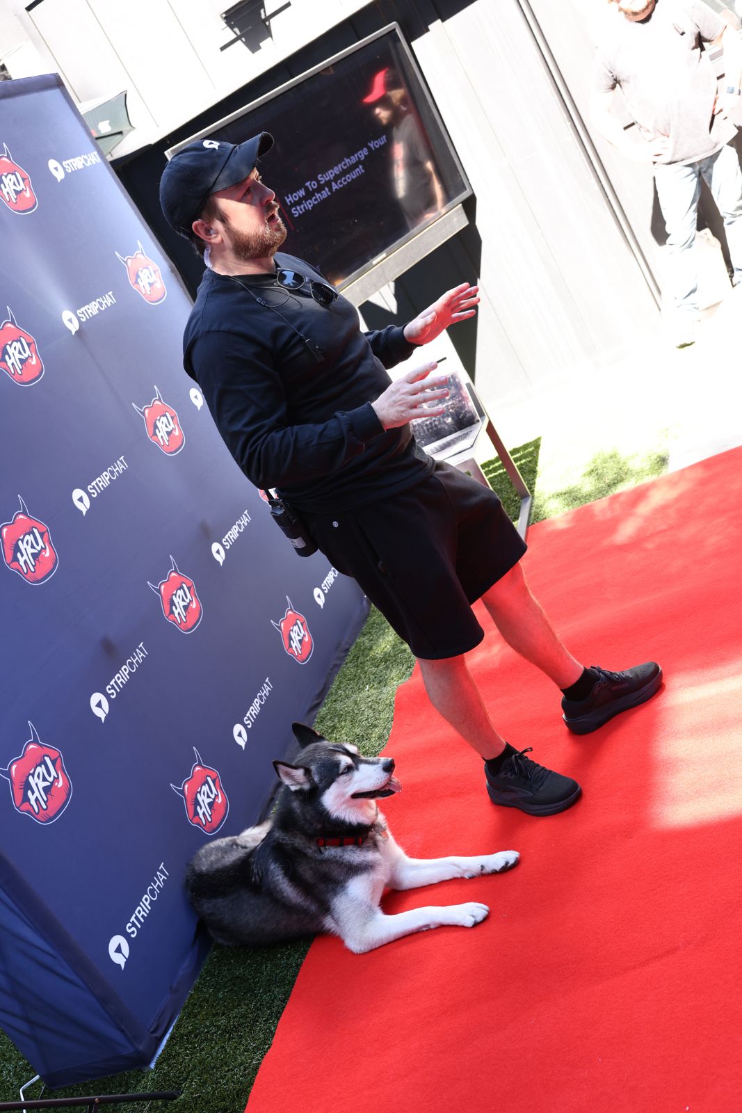The house husky makes an appearance on the red carpet at the Stripchat House Hollywood
